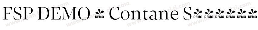 FSP DEMO - Contane S字体转换